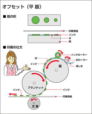 オフセット印刷