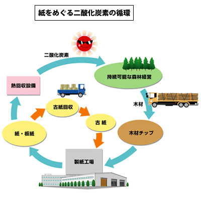 紙をめぐる二酸化炭素の循環